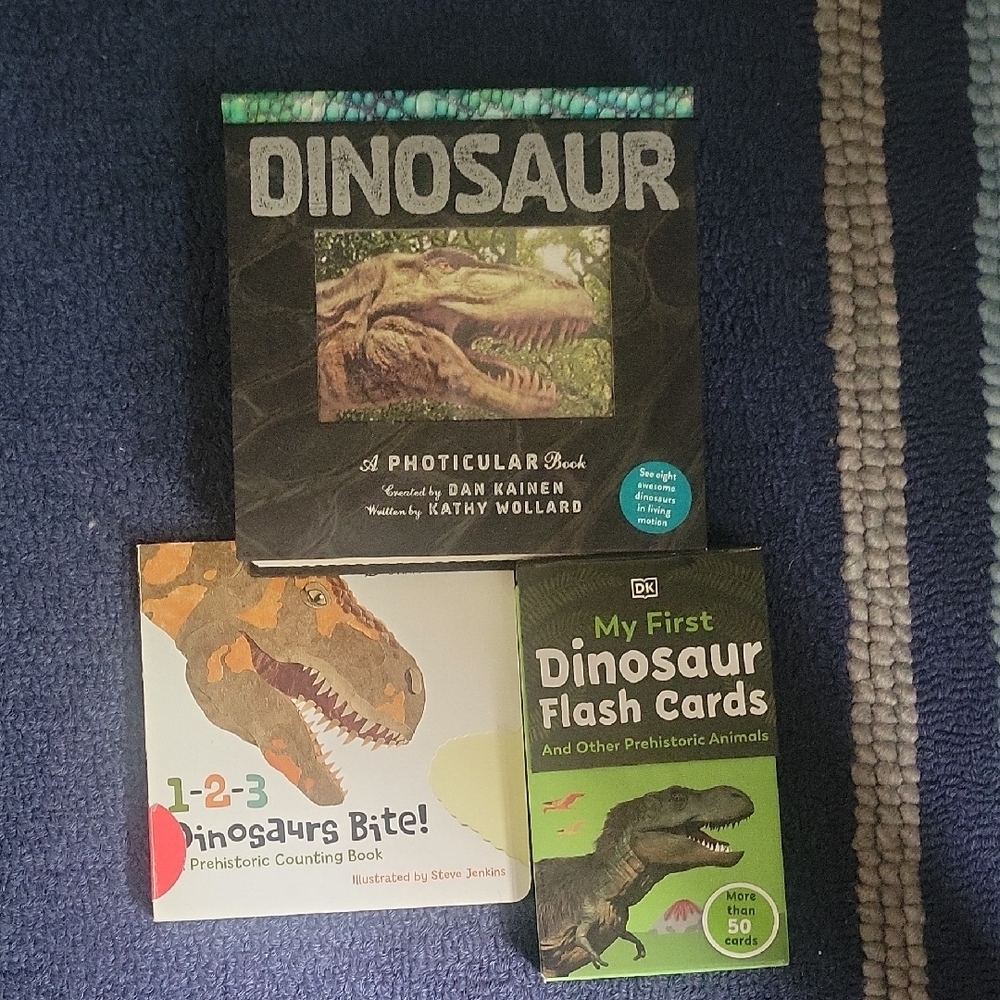 Dinosaur Books And Flashcards